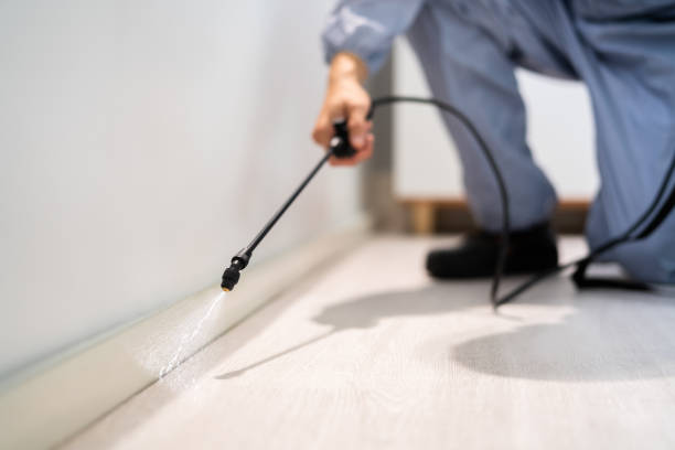 Licensed Termite Control service in Jemison, AL - Nex Pest Control