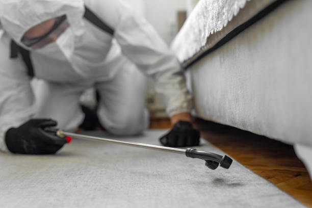 Professional Termite Control technician working in Jemison, AL