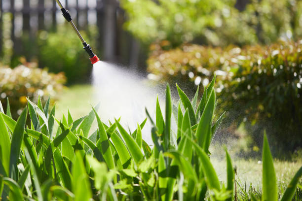 24/7 Emergency Termite Control experts in Jemison, AL