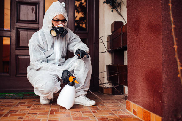 Reliable Termite Control contractor in Jemison, AL by Nex Pest Control